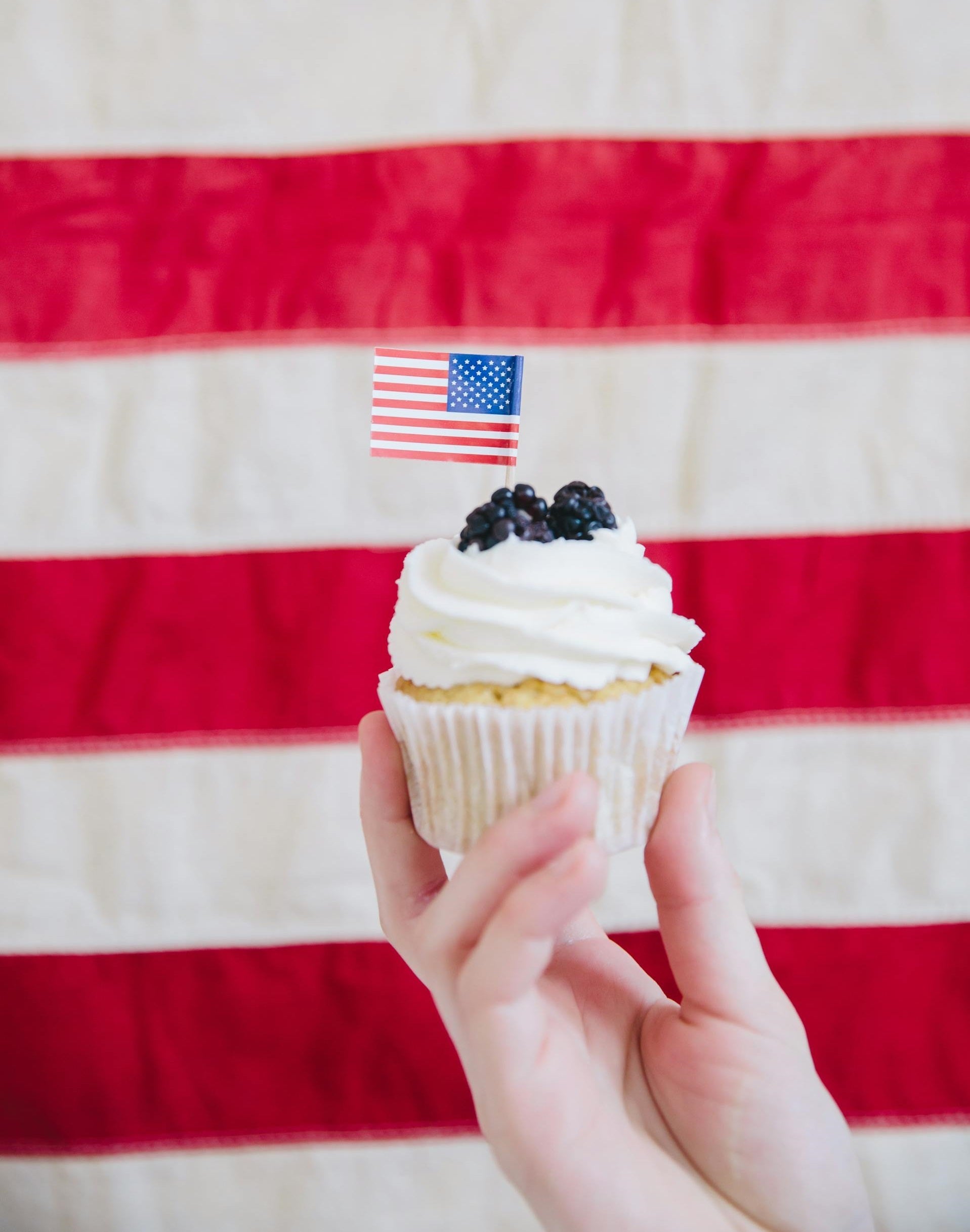 Best Drawer Refrigerator For Independence Day | Fridge.com