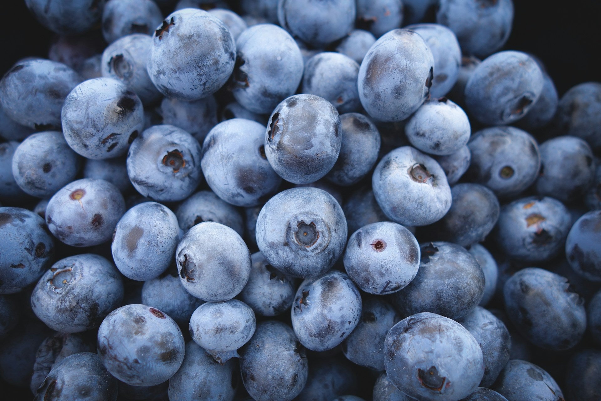 Best Fridge For National Blueberry Month | Fridge.com