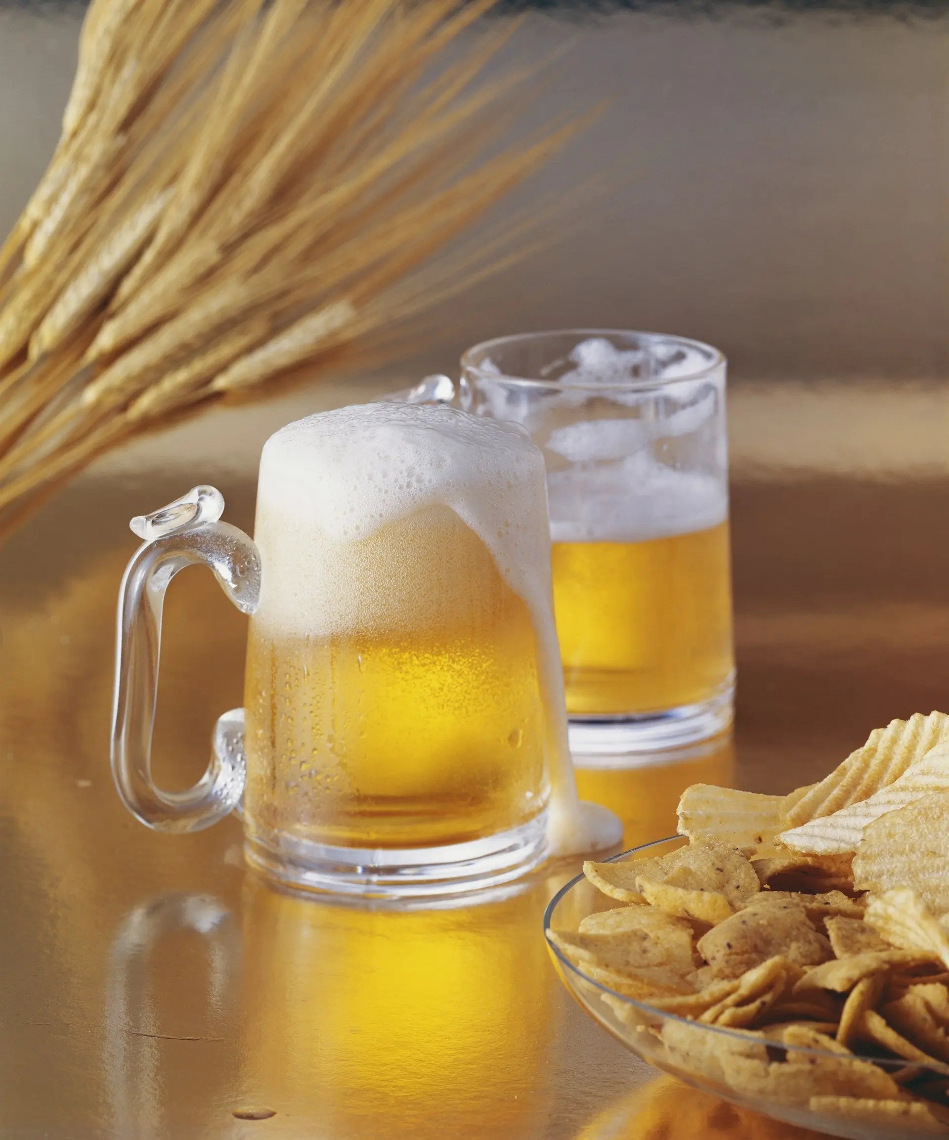 Best Glass Door Mini Fridge For Labor Day | Fridge.com