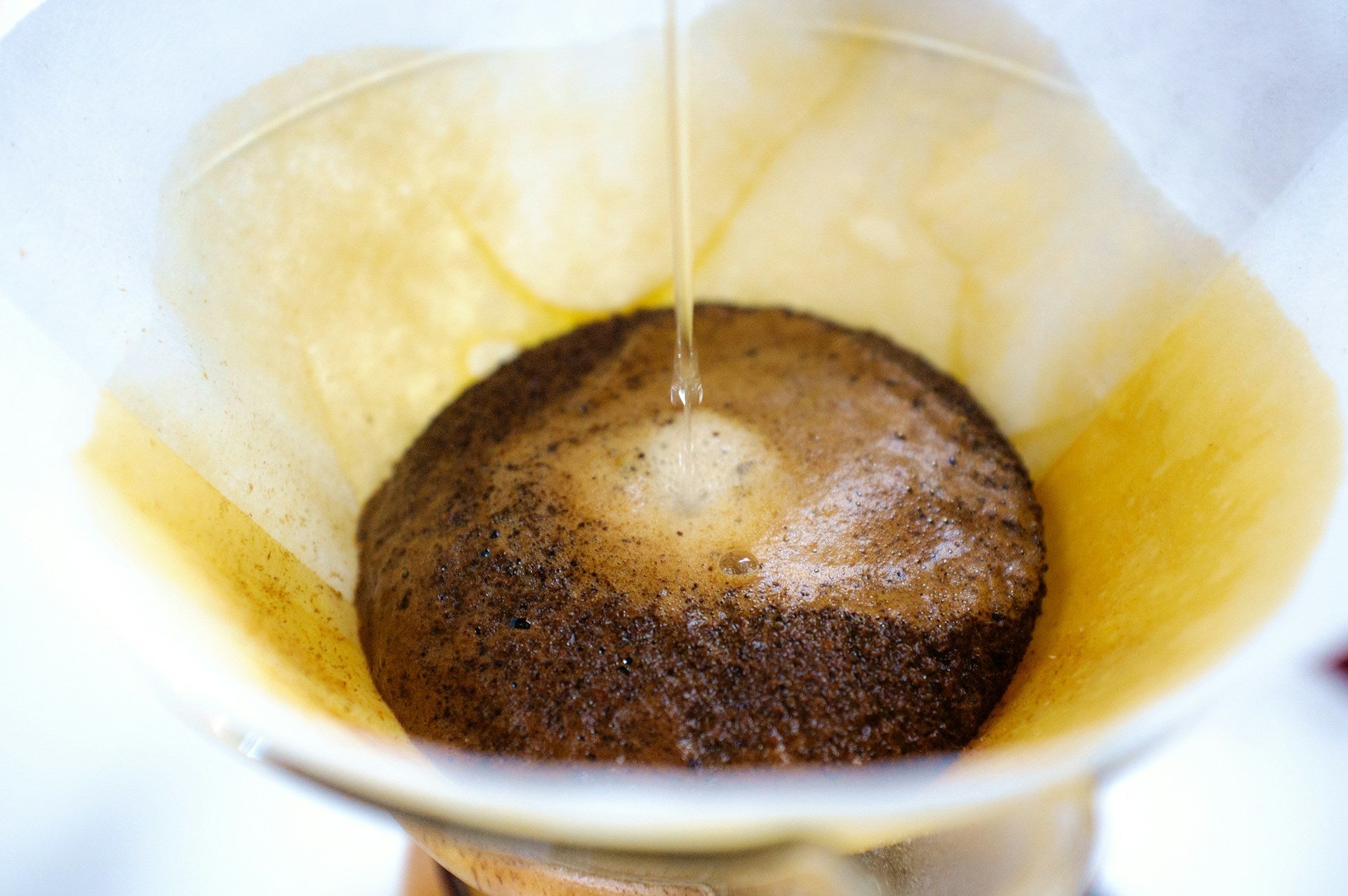 Can You Keep Coffee Grounds In The Fridge? | Fridge.com