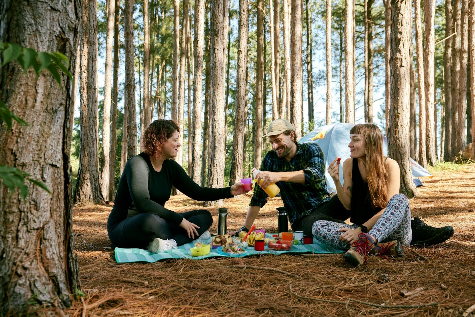 Cheap Portable Refrigerator | Fridge.com