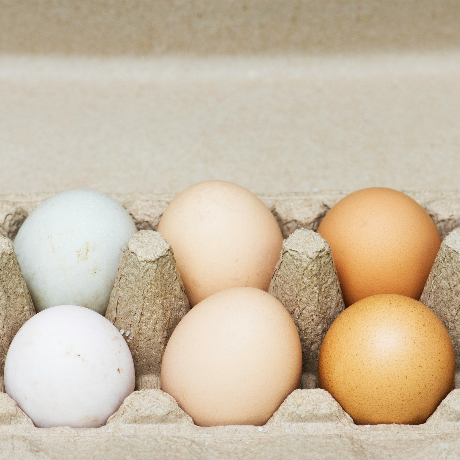 Egg-sploring The Fridge: How Long Can You Keep Eggs Fresh? | Fridge.com