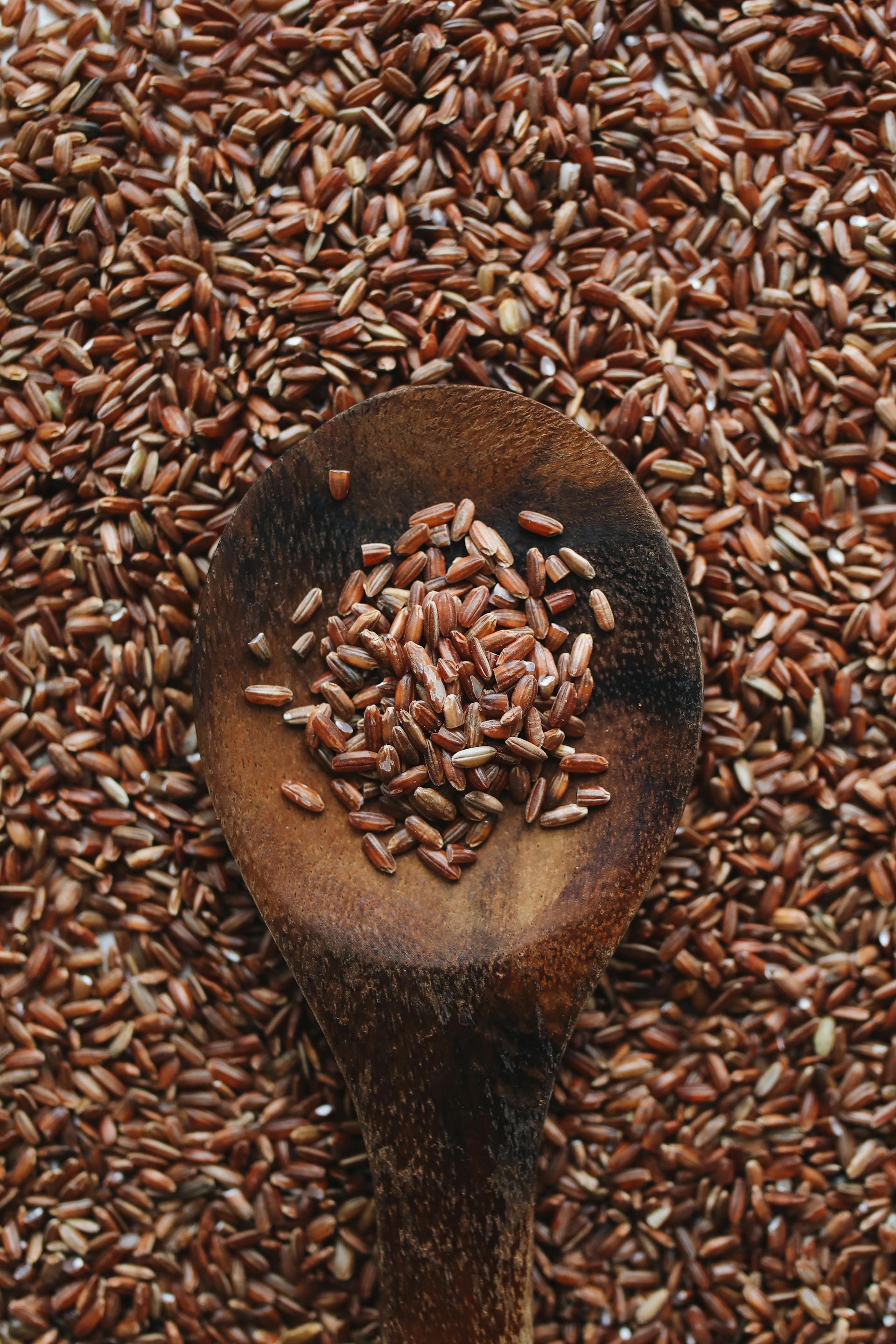 How Long Can Red Rice Last In The Fridge? | Fridge.com