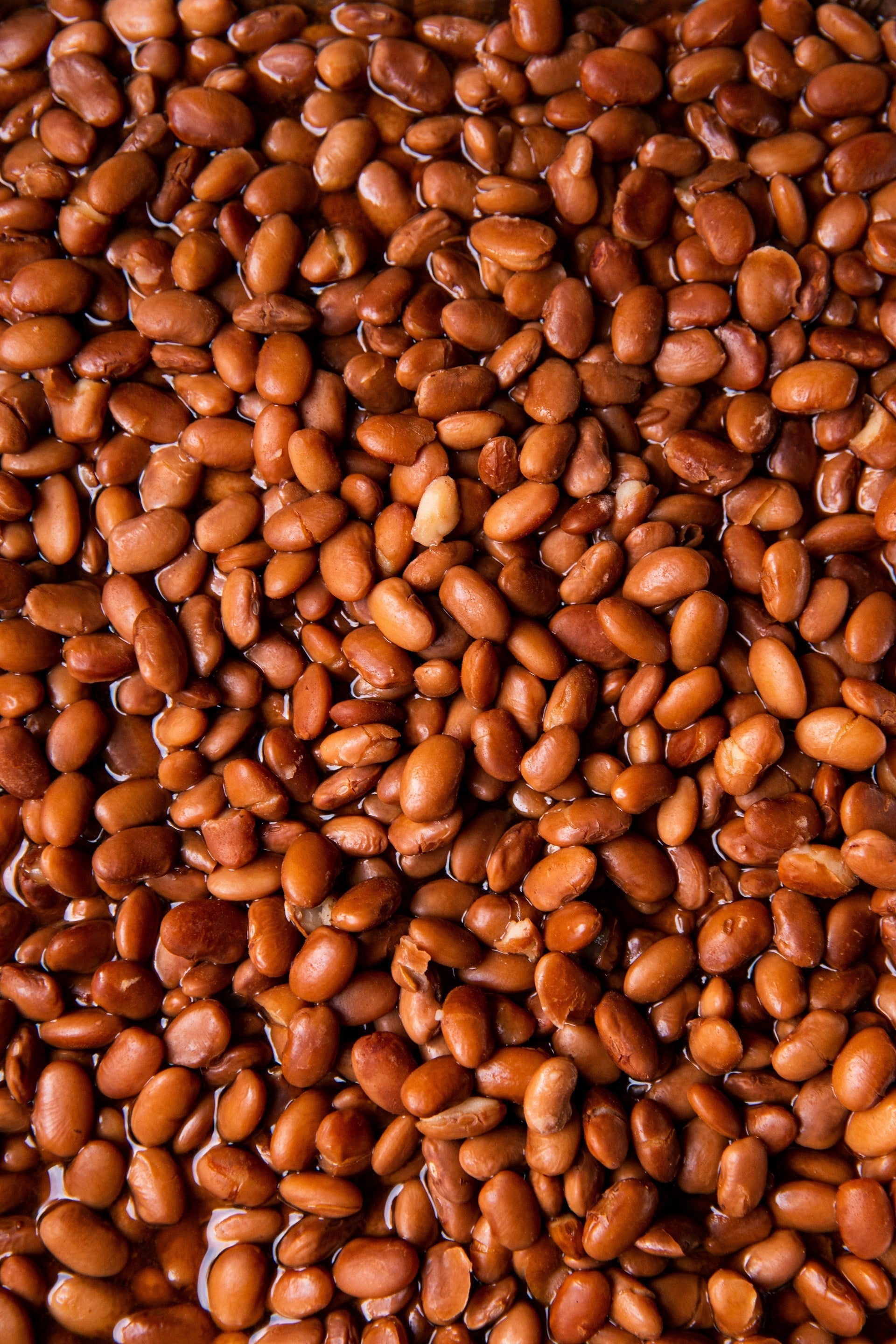 How Long Do Cooked Pinto Beans Last In The Fridge? | Fridge.com