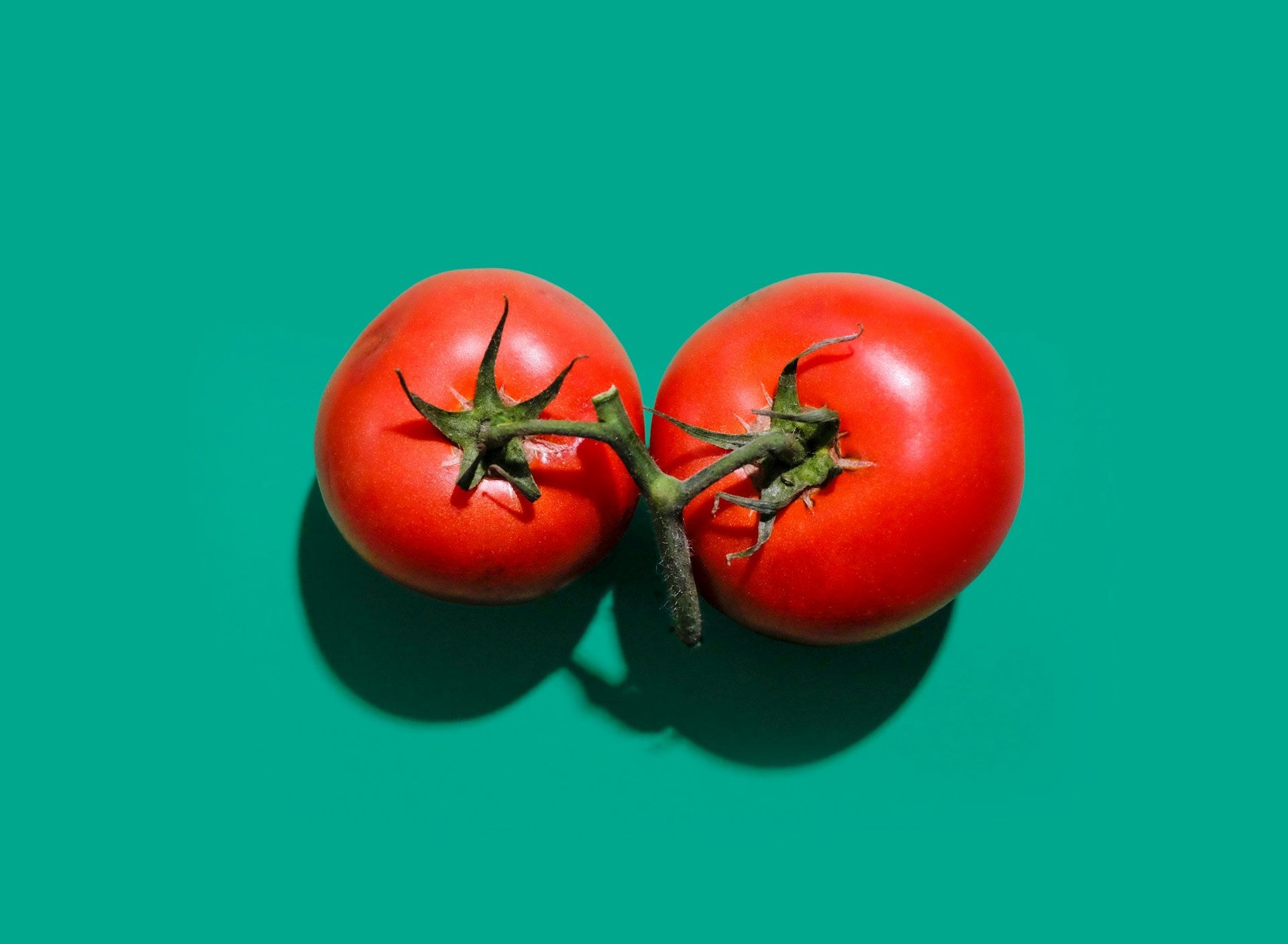 How Long Do Tomatoes Last In The Fridge? | Fridge.com