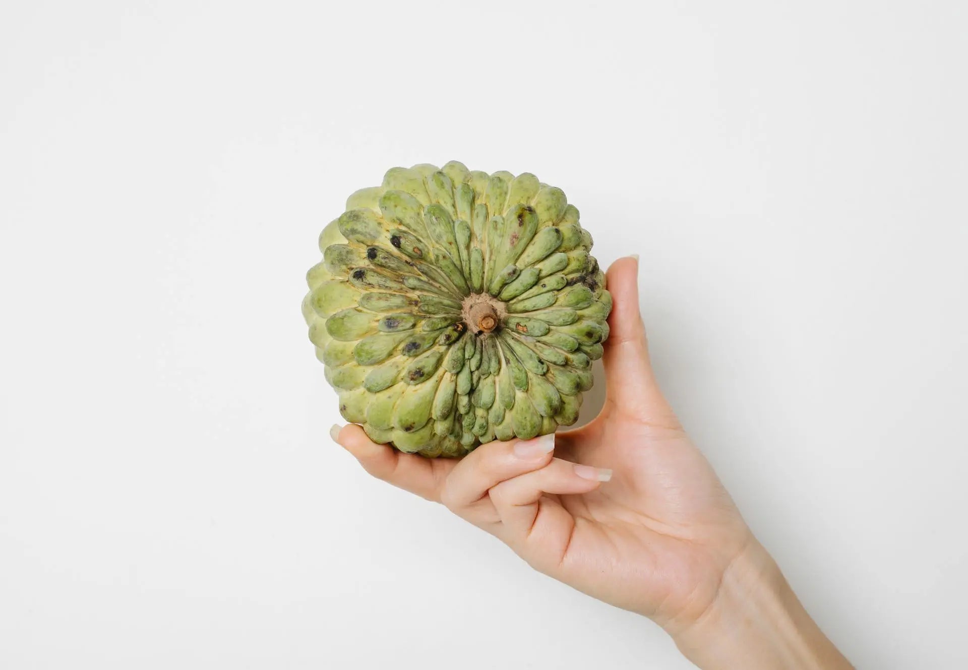 How Long Does Custard Apple Last In The Fridge? | Fridge.com