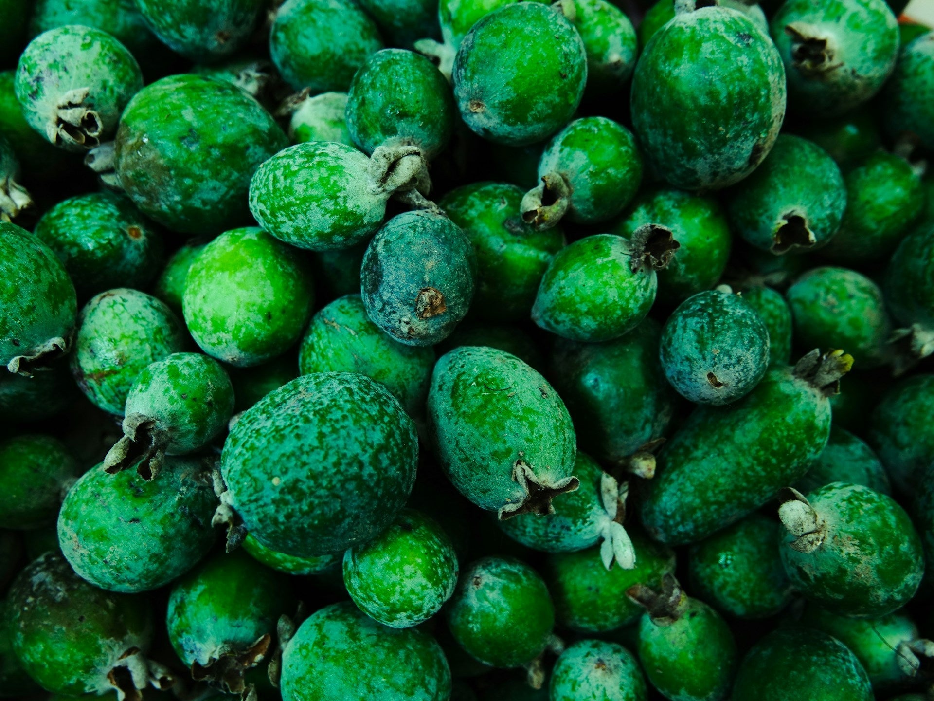 How Long Does Feijoa Last In The Fridge? | Fridge.com