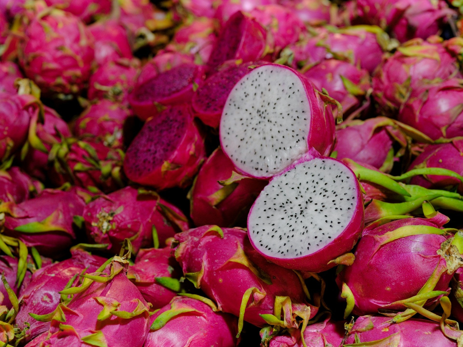 How Long Does Pitahaya Last In The Fridge? | Fridge.com