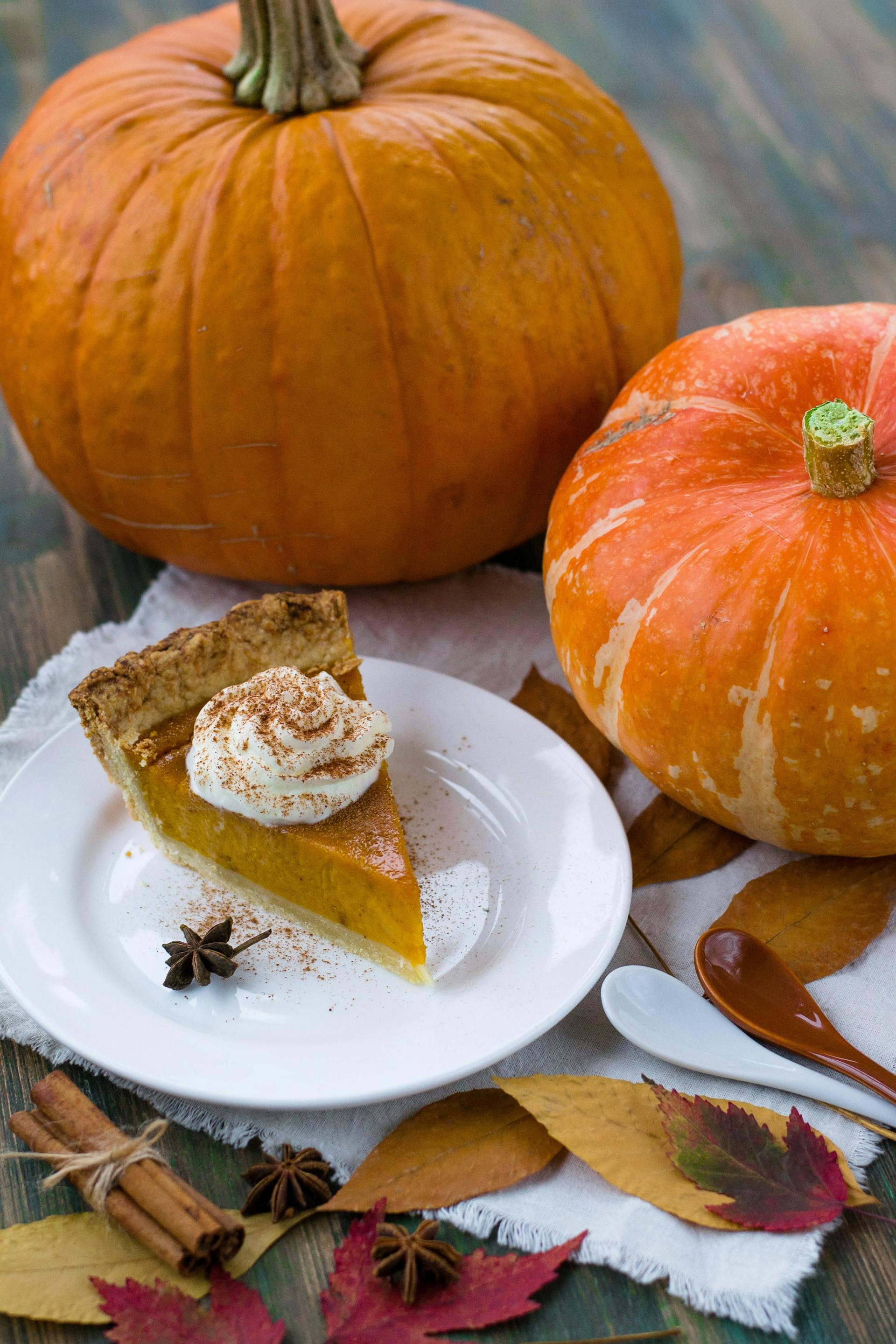 How Long Does Pumpkin Pie Last In The Refrigerator? | Fridge.com