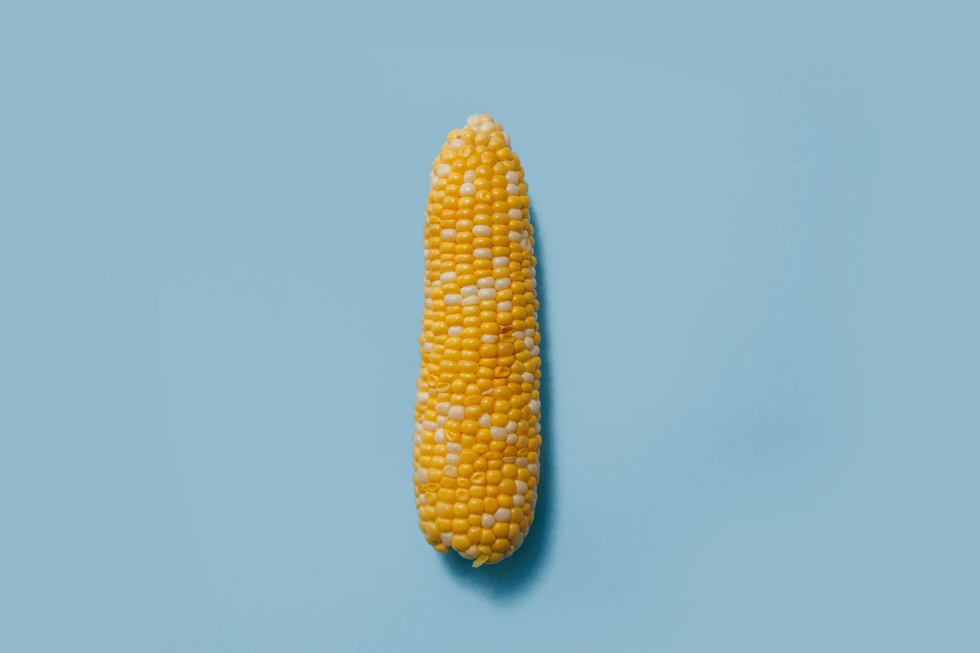 How Long Does Shucked Corn Last In The Fridge? | Fridge.com