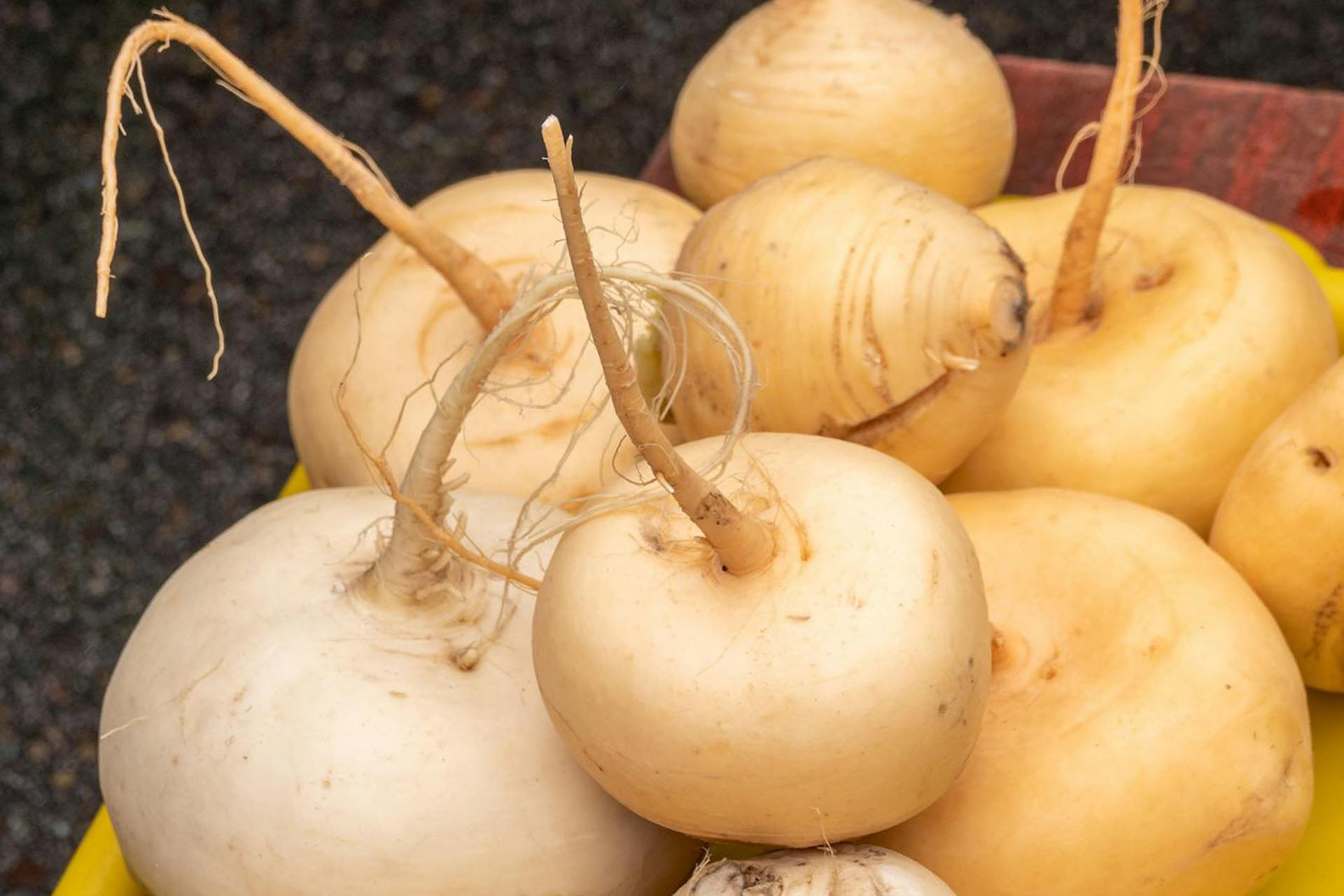 How Long Does Turnip Last In The Fridge? | Fridge.com