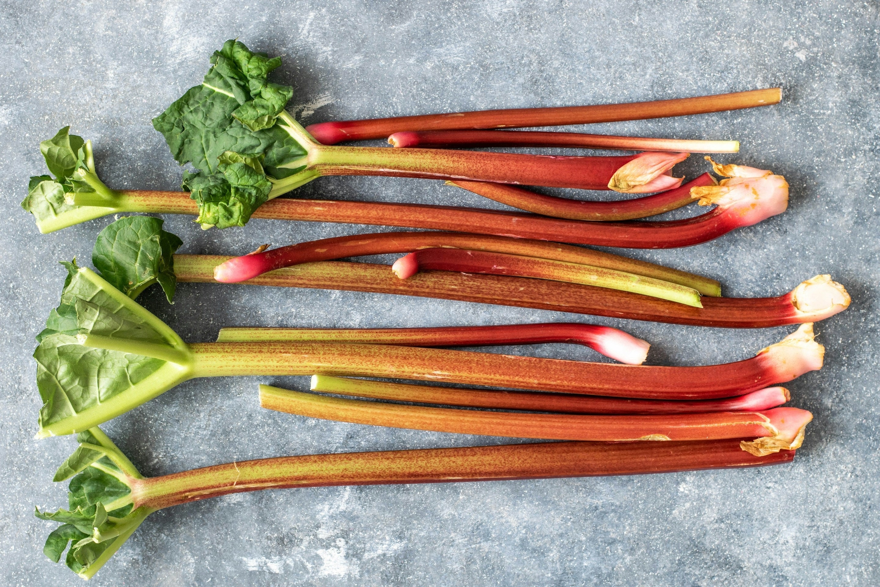 How To Freeze Fresh Rhubarb | Fridge.com