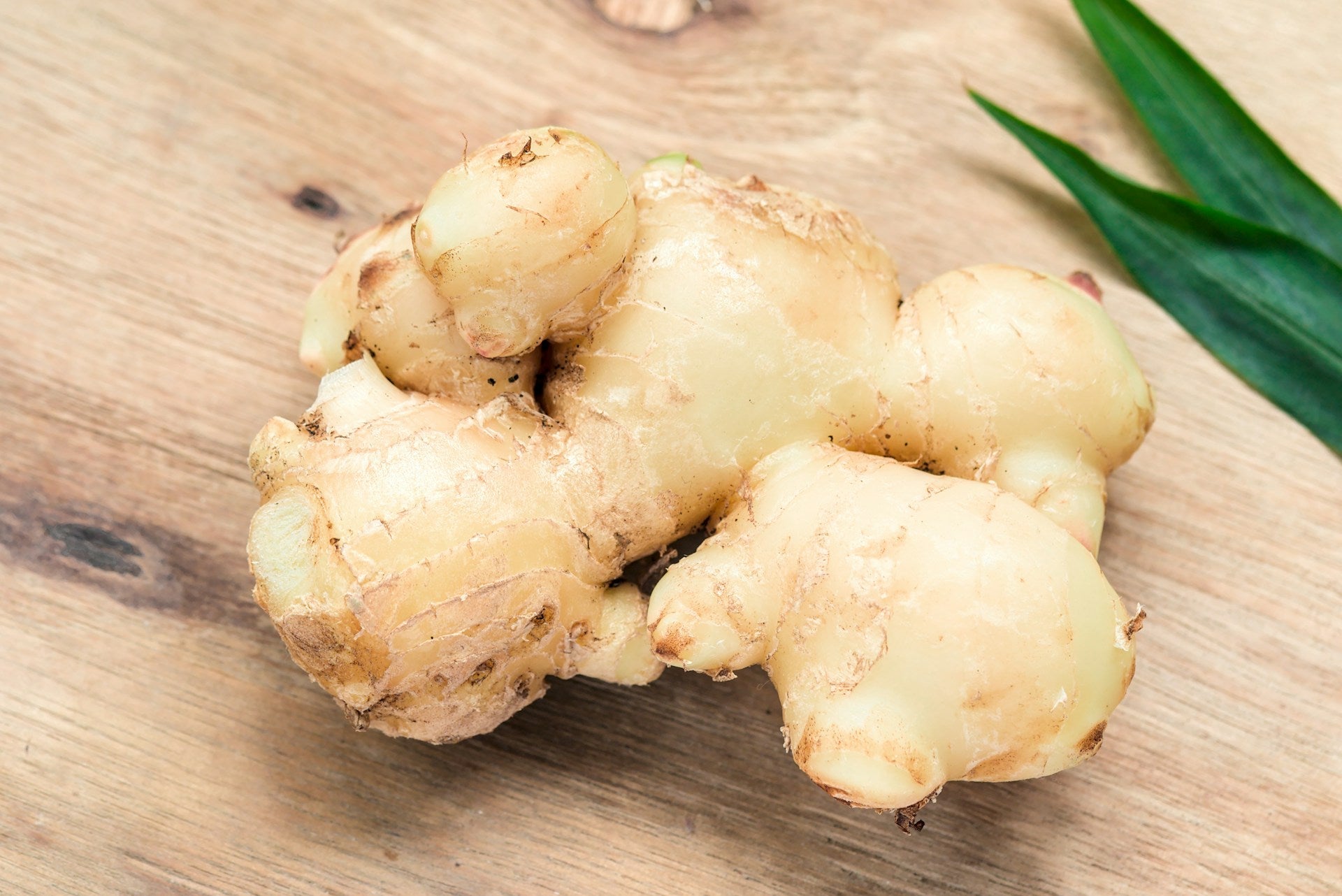How To Freeze Ginger Root | Fridge.com