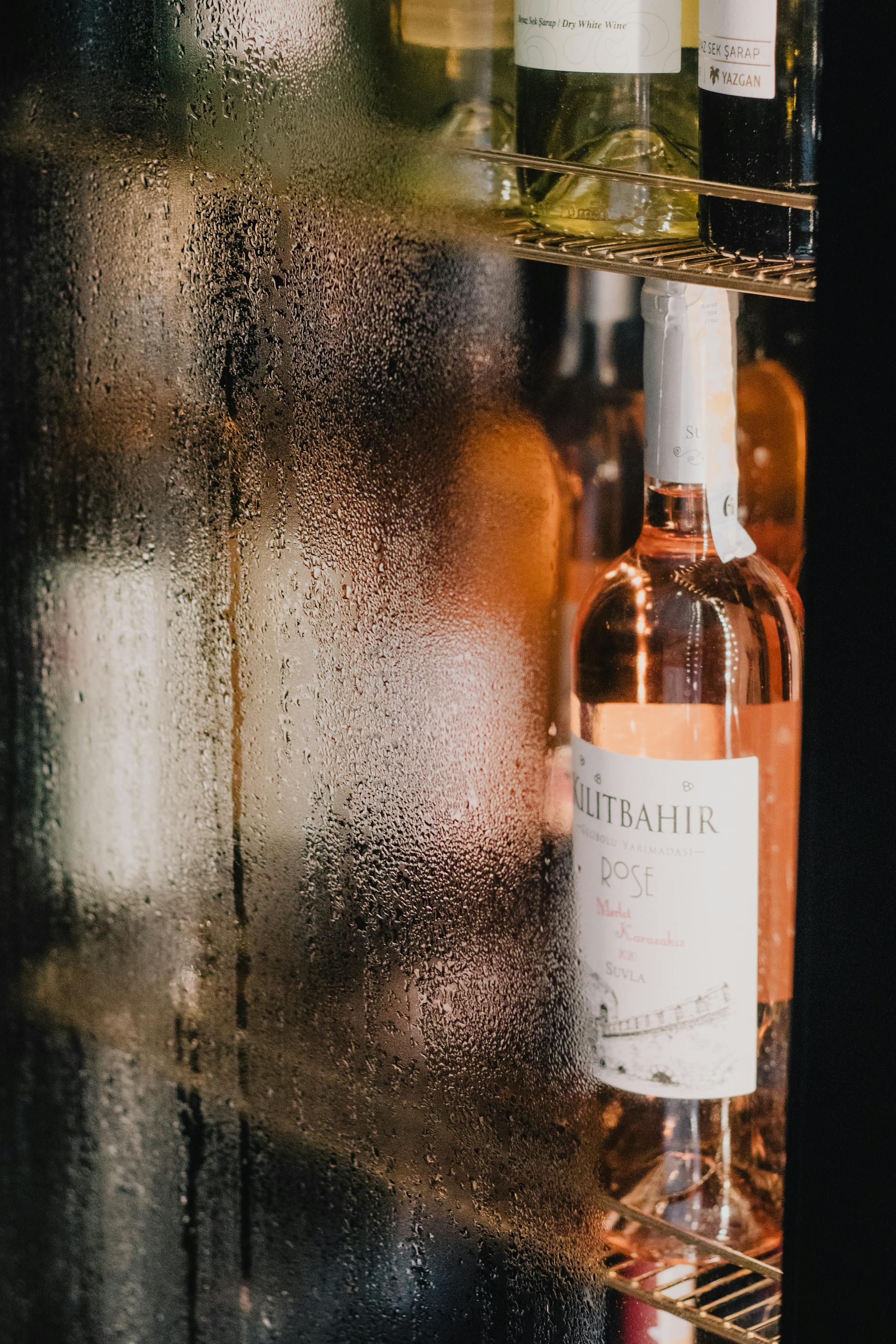 Recommended Fridge Temp | Fridge.com