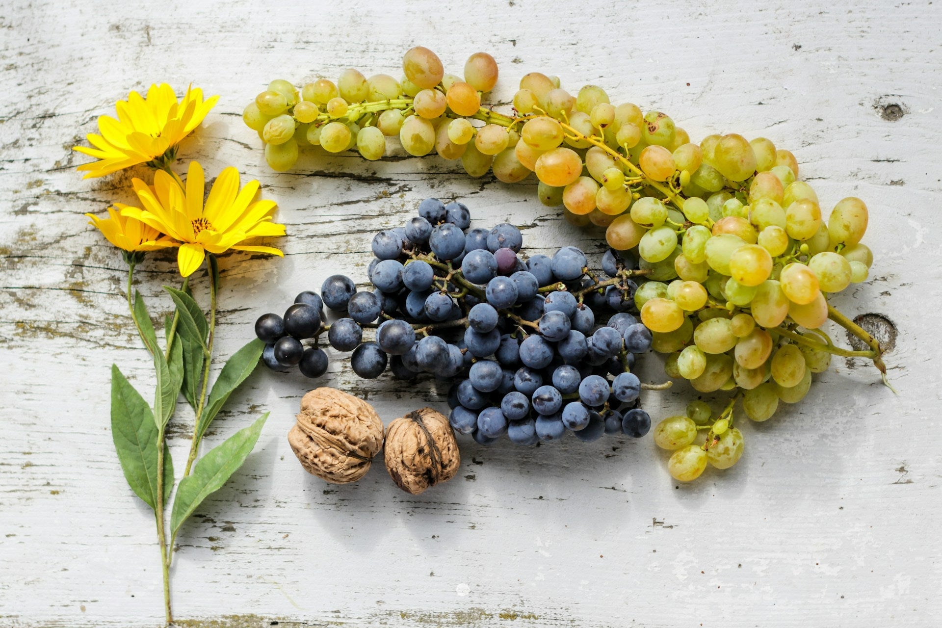 Should Grapes Be Kept In The Refrigerator? | Fridge.com