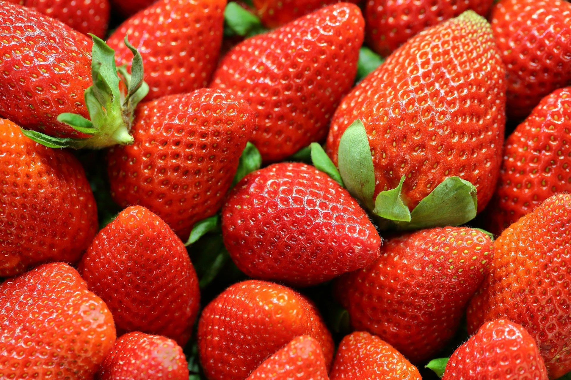Should You Put Strawberries In The Fridge? | Fridge.com