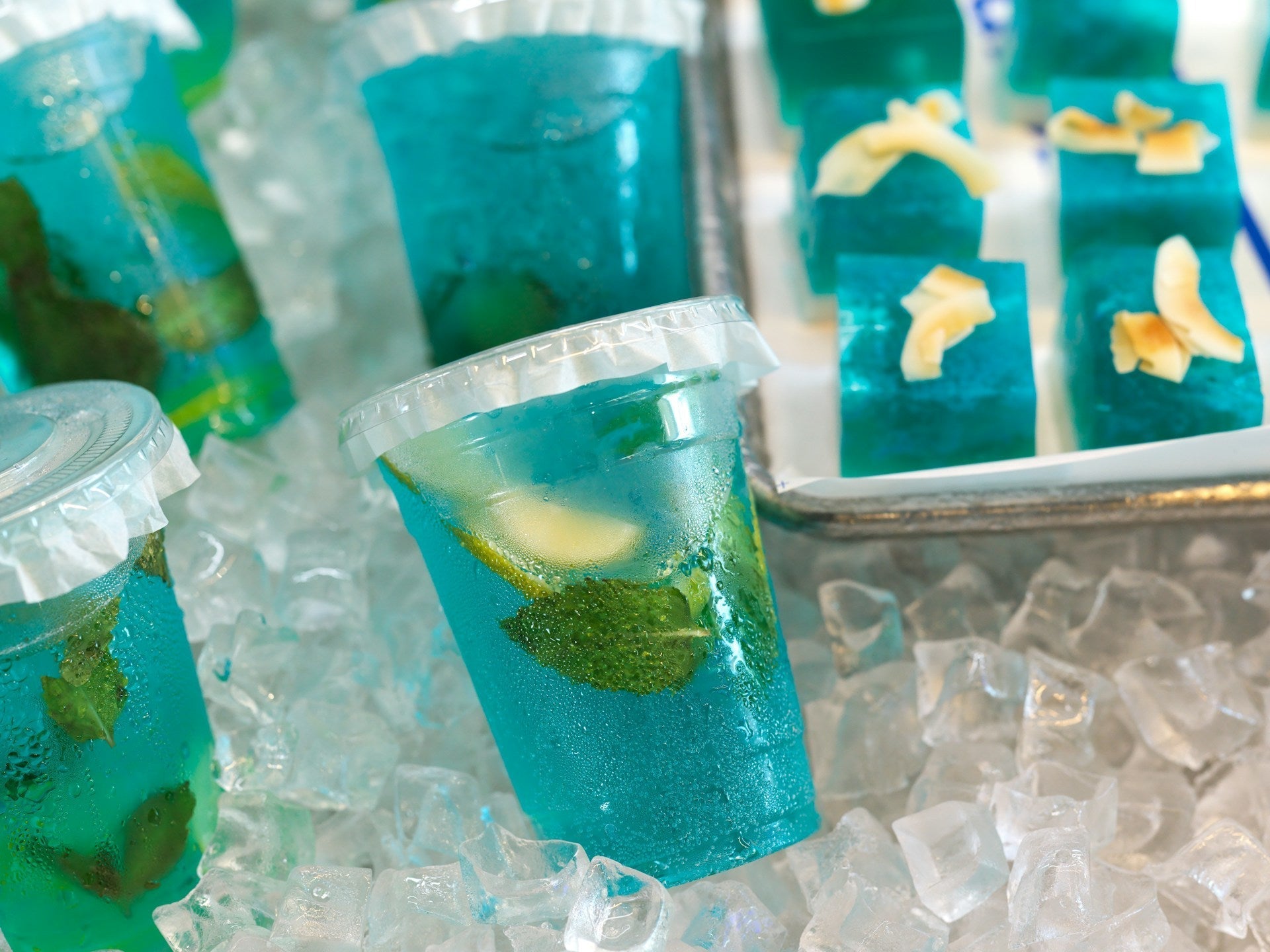 Which Type Of Coolers Are Best? | Fridge.com