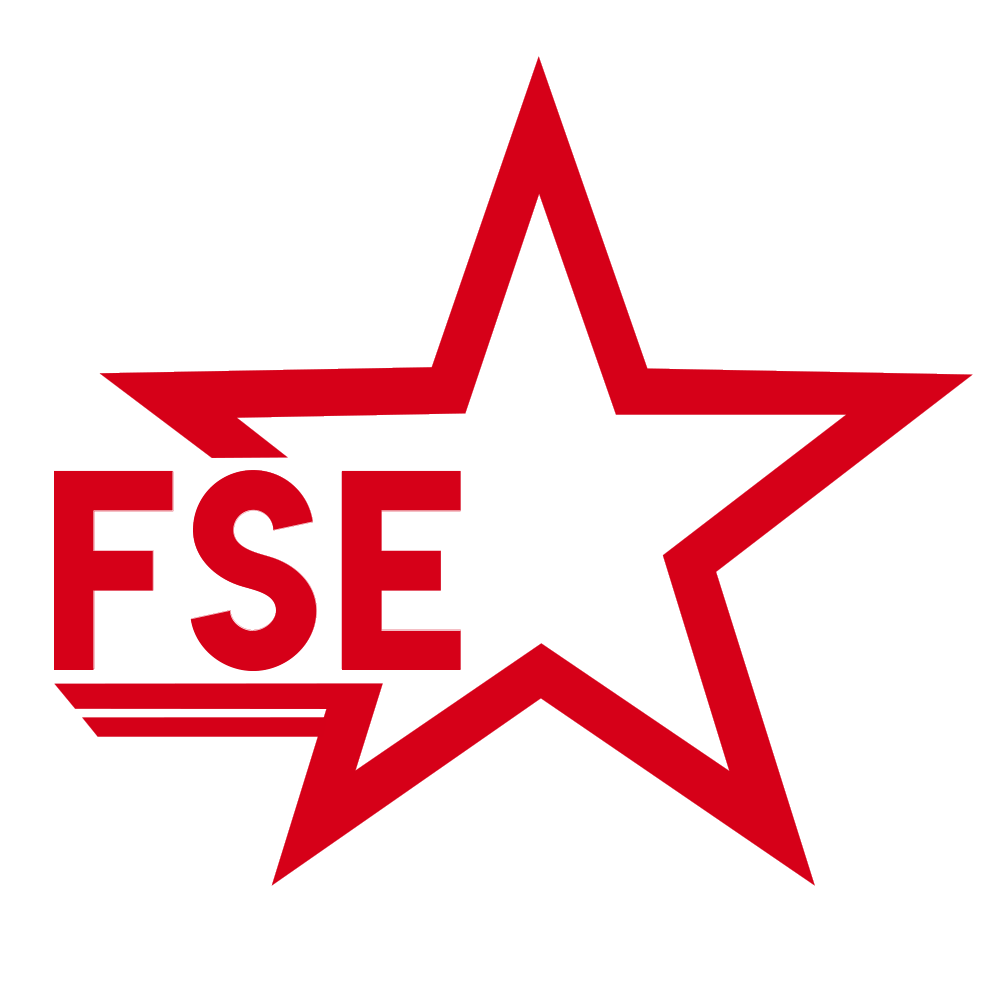 FSE Logo